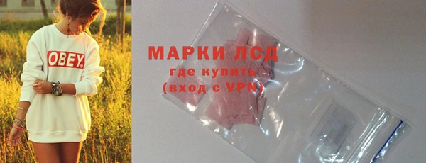 сатива Волосово