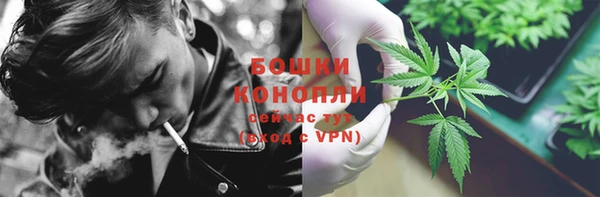 сатива Волосово