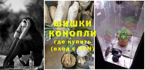 сатива Волосово