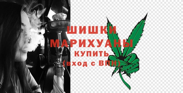 сатива Волосово