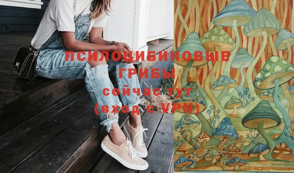 МДПВ Волоколамск