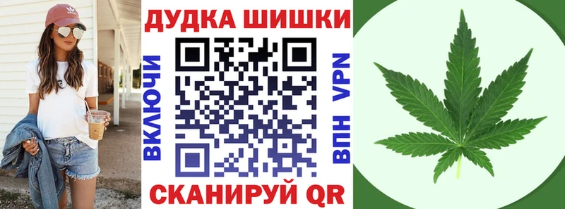 Канабис планчик  купить  цена  Нальчик 
